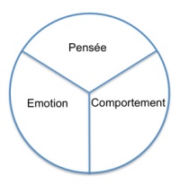 Outil simple et puissant pour l'accompagnement sur les comportements