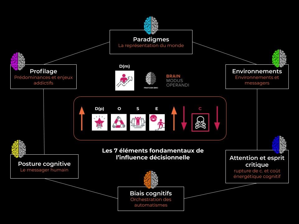 Schéma de processus de formation BMO